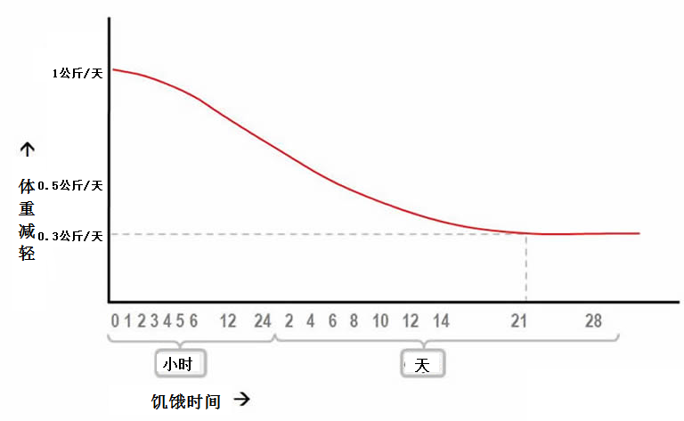 每天只吃100克水煮青菜，一个星期可以减掉10斤肉吗？  -图3