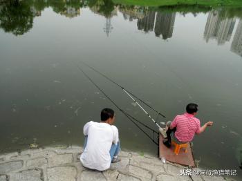 一起探寻嫩玉米钓鱼最佳方法，这种挂钩和调钓技巧值得留意  -图5