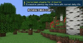 Minecraft国际版加入“防沉迷”！22w06a 发布了一项重大更新  -图6