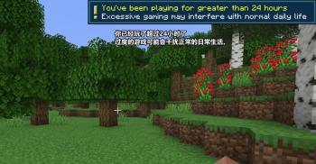 Minecraft国际版加入“防沉迷”！22w06a 发布了一项重大更新  -图7